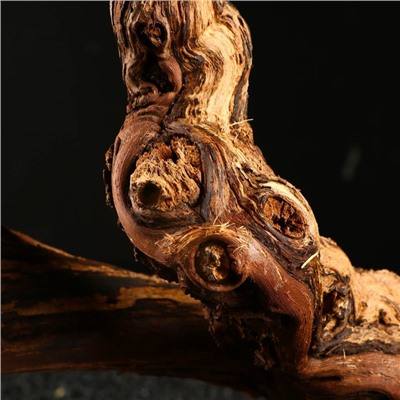 Коряга для аквариума «Лоза виноградная», 50 - 60 см