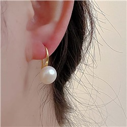 Серьги на крючках арт. 13 4082 (id 279778)
