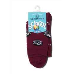 БРЕСТСКИЕ Носки School 3060 (махровые)
