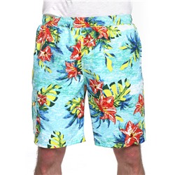 Шорты мужские