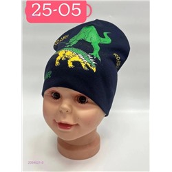 шапка 2054021-5