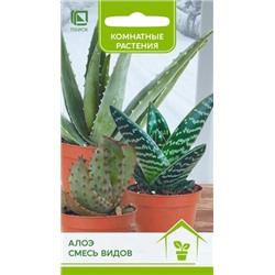 Алоэ Смесь видов (Код: 93738)