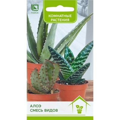 Алоэ Смесь видов (Код: 93738)