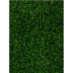Газон искусственный, ворс 10 мм, 1×2 м, зелёный, Greengo