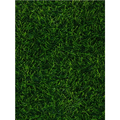 Газон искусственный, ворс 10 мм, 1×2 м, зелёный, Greengo