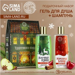 Подарочный набор «Чудесного года»: гель для душа и шампунь для волос, 2×250 мл, URAL LAB