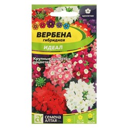 Семена цветов Вербена "Идеал", гибридная, 0,1 г
