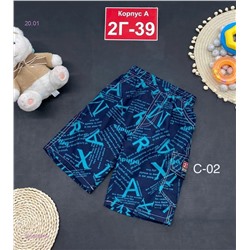 шорты 2053629-5