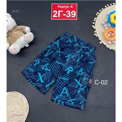 шорты 2053629-5