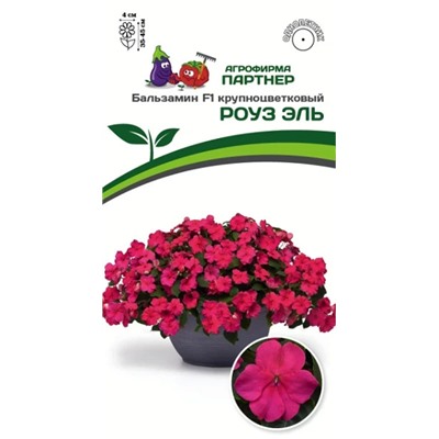 3403P Бальзамин F1 крупноцветковый РОУЗ ЭЛЬ 5шт