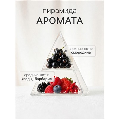Диффузор ароматический с палочками Ягоды годжи, 50 мл
