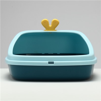 Туалет с бортом 46×35×18 см, голубой