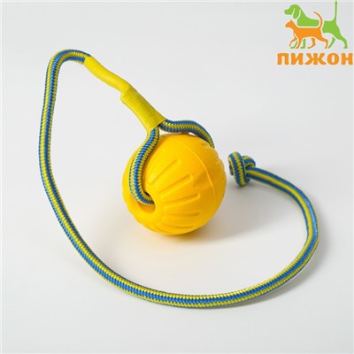 Мяч из EVA, 7 см, на верёвке, для дрессировки, жёлтый