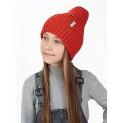 Утёнок Шапка