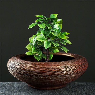 Кашпо для цветов «Плошка», 1.4 л, d=22 см, h=8 см, керамика, цвет бронза