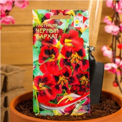Семена цветов Настурция «Черный Бархат», 9 шт., «Дом семян»
