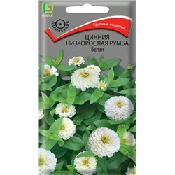 Цинния Румба Белая низкорослая (Код: 93434)