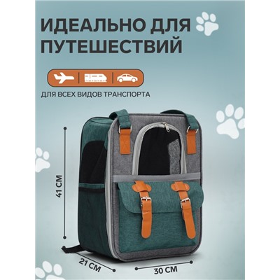 Рюкзак - переноска для животных, 30×21×41 см, зелёный
