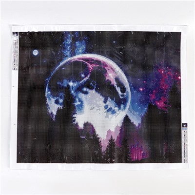 УЦЕНКА Алмазная вышивка полное заполнение «Сказочный лес», на холсте 40×50 см