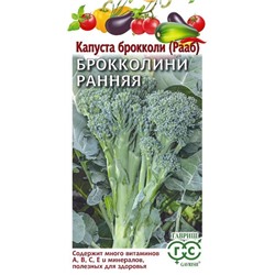 Капуста брокколи (Рааб) Ранняя 60 дней (Код: 93380)