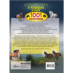 АСТ Спектор А.А. "Большая книга о лошадях и пони. 1001 фотография"