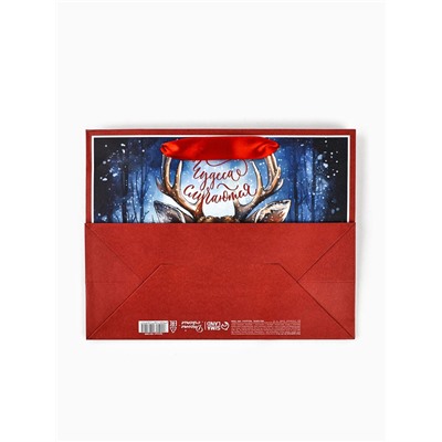 Пакет подарочный новогодний крафтовый, «Чудеса случаются», 23×18×10 см