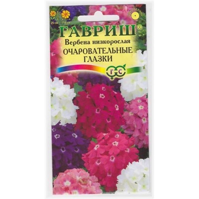 Вербена Очаровательные глазки (Код: 13224)
