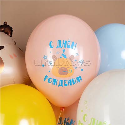 Шар (12''/30 см) Капибары, С Днем Рождения!, Ассорти, пастель, 2 ст, 25 шт.