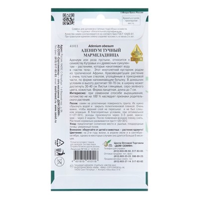 Семена цветов Адениум тучный «Мармеладница», 3 шт., «Дом семян»