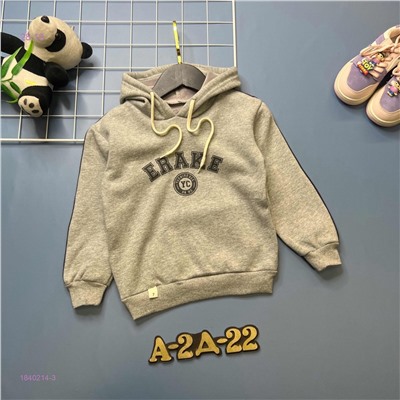 кофта с начесом 1840214-3