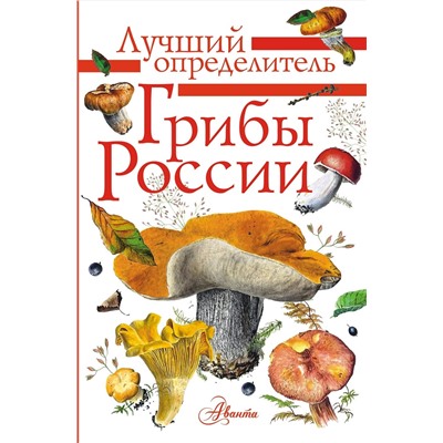 АСТ Кривошеев С.В. "Грибы России. Определитель"