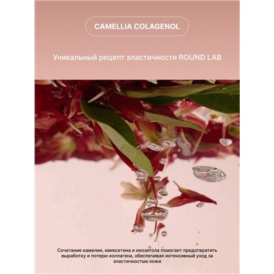 ROUND LAB Гель-пенка для умывания с экстрактом камелии 2 в 1 / Camellia Deep Collagen Jelly Pack Cleanser, 150 мл 28016