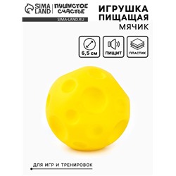 Игрушка пищащая «Мячик планета» для собак, 6.5 см, желтая