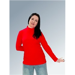 AandOstudio Водолазка В20013В