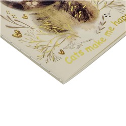 Записная книжка А6  32л линейка "Любовь. Милый котик" 7-32-506/20 Bruno Visconti