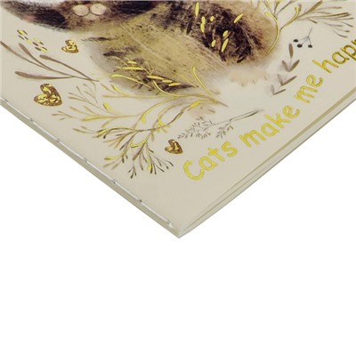 Записная книжка А6  32л линейка "Любовь. Милый котик" 7-32-506/20 Bruno Visconti