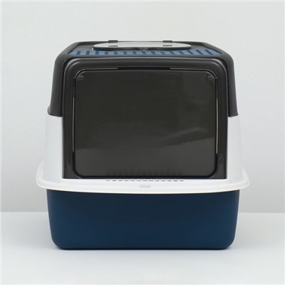 Туалет закрытый, 51×34×37 с, с совком, прозрачный, пластик, синий