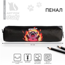 Пенал школьный, искусственная кожа«Нервы»19×8×3 см
