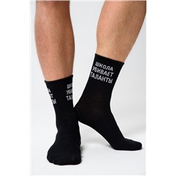 Носки мужские Талант (набор 2 пары)