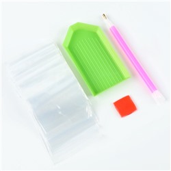 Алмазная мозаика с полным заполнением на холсте с подрамником «Ирисы», 40×50 см