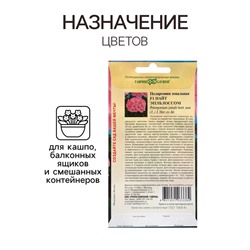Семена Пеларгония "Найт Эплблоссом", ц/п,  F1, 4 шт.