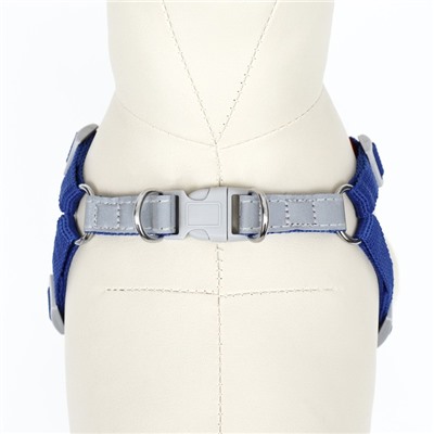 Комплект Sport+, S, поводок 150×1.5 см, ОШ 39-41 см, ОГ 44-48 см, вес животного 7-13 кг, синий 96
