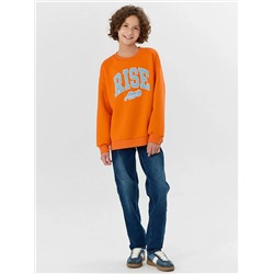 MARK FORMELLE Свитшот 123447