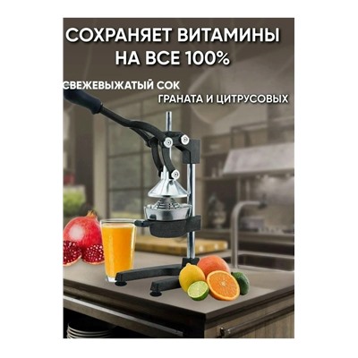 Соковыжималка #23021327