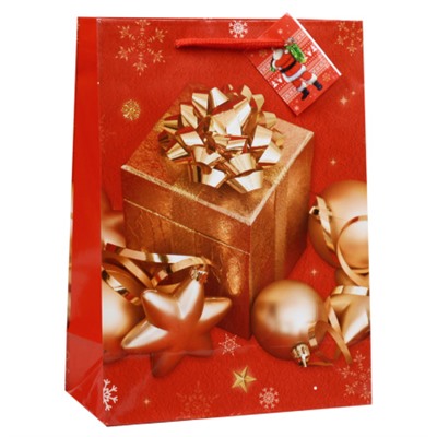 Пакет подарочный Новый год 17х24х8 / 1700S /уп 12/960/128г/м2 микс