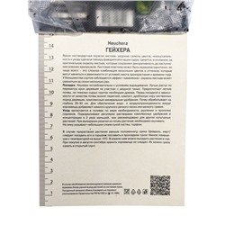 Гейхера (Хеухера) гибридная Берри Мармелад, корневище в пакете с торфогрунтом, р-р I, 1 шт.
