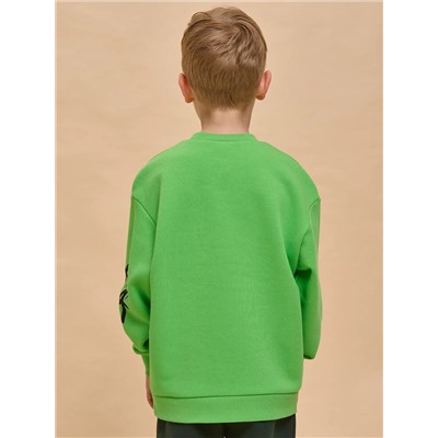 PELICAN Толстовка BFN3335