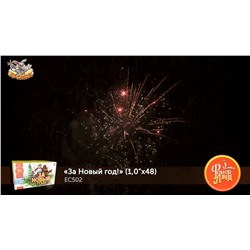 Фейерверк ЕС502 За Новый Год! (1" х 48)