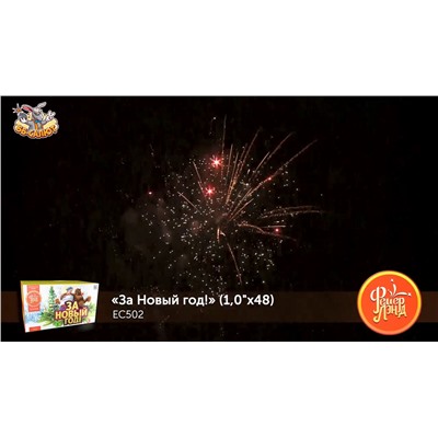 Фейерверк ЕС502 За Новый Год! (1" х 48)