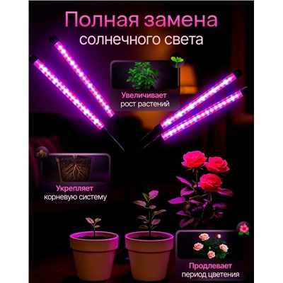 Светильник #23341219